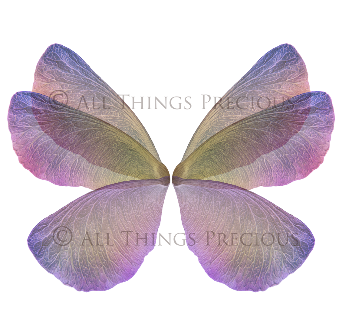 Digital Fairy Wings Overlays clipart. Png transparent see through files for photoshop. Butterfly Angel, Color, Print Photography editing. High resolution, 300dpi. Printable, Photography Graphic design assets, add on stock resources. Magical Scrapbooking design. Faery Photographer edit. Colorful Big Bundle. ATP Textures